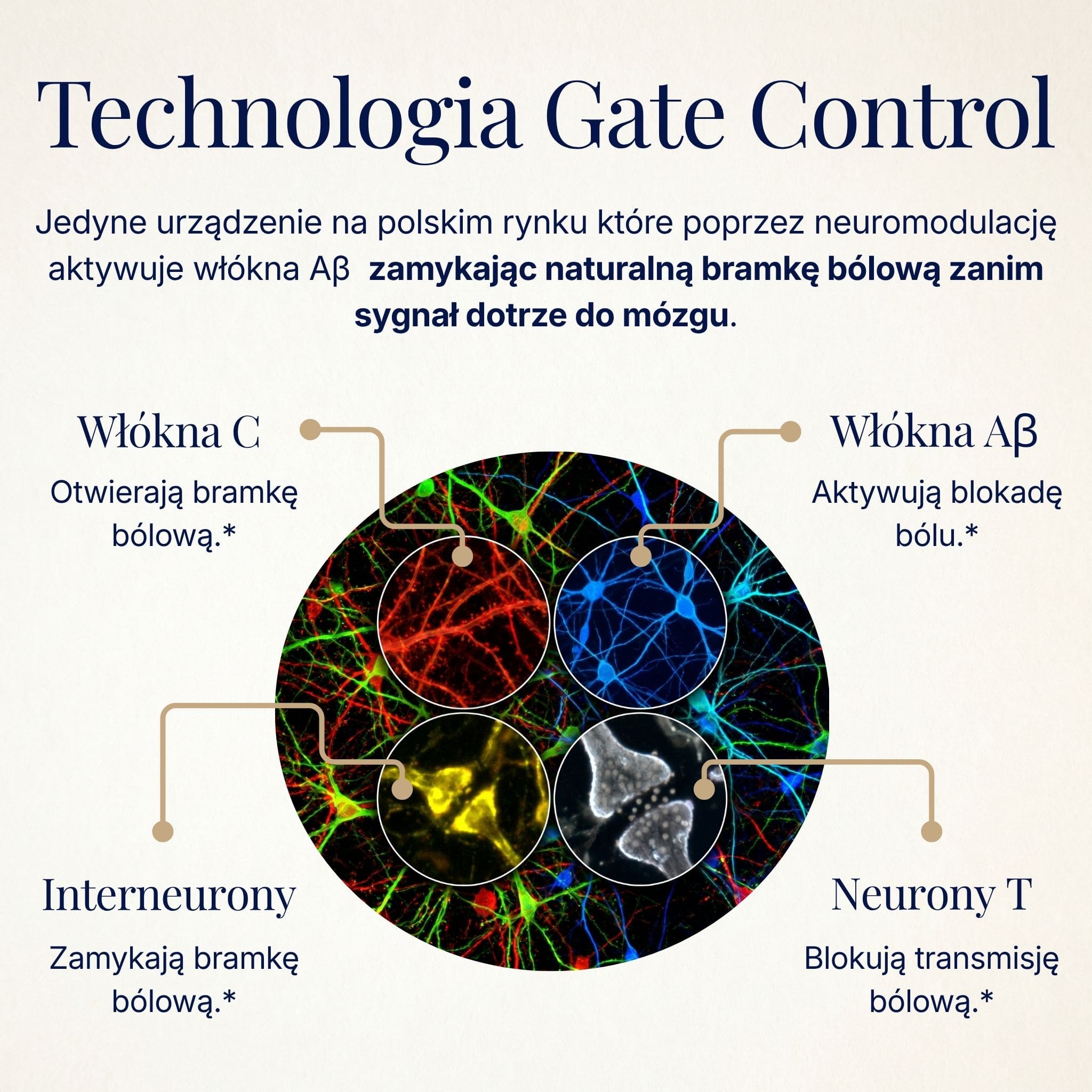 Pozbądź się bólu który co miesiąc odbiera kontrolę nad własnym życiem.